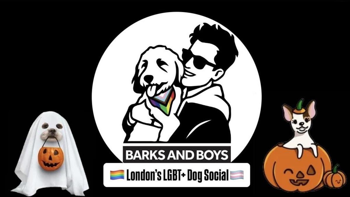 Barks and Boys - Halloween 🎃🐶